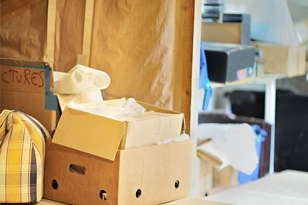 Best Professional Junk Removal  in Camano, WA